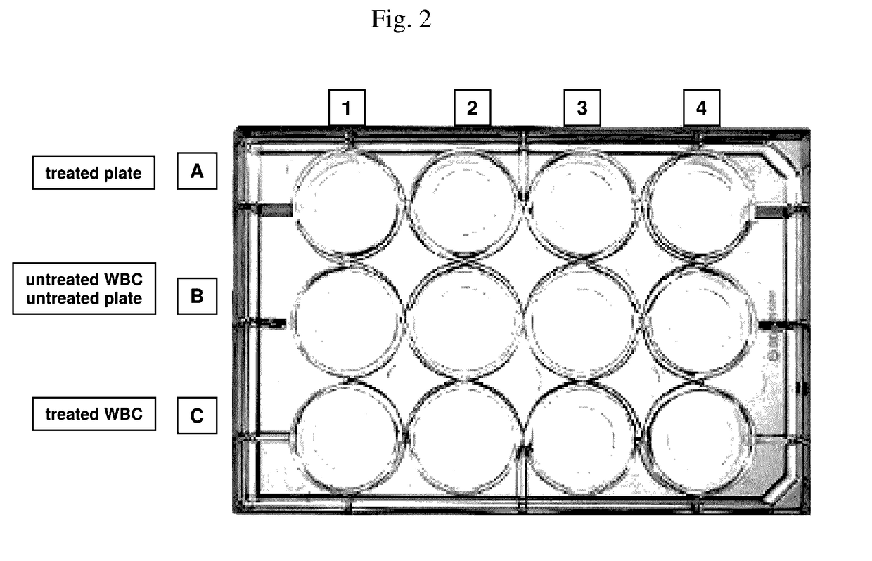 Compounds comprising one or more hydrophobic domains and a hydrophilic domain comprising peg moieties, useful for binding cells