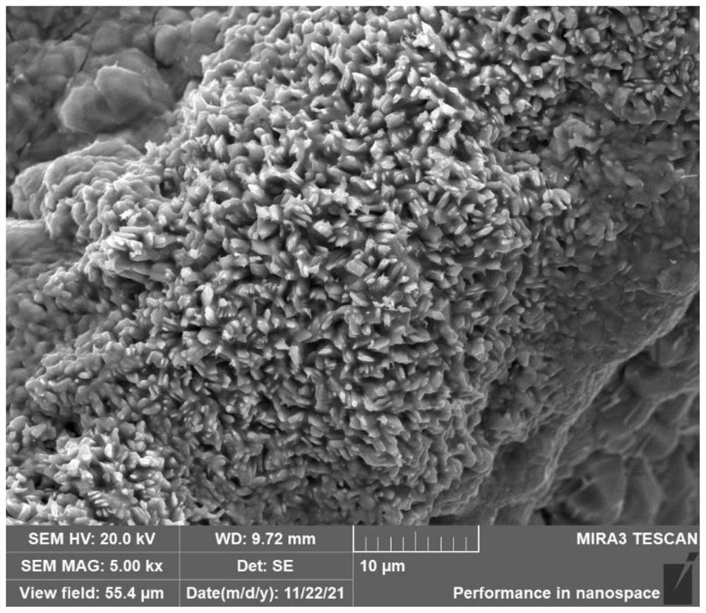 Preparation method and application of nickel/iron-nickel hydroxide-nickel sulfide heterojunction oxygen evolution catalytic electrode