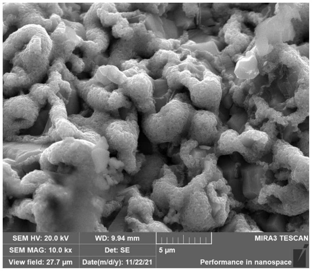 Preparation method and application of nickel/iron-nickel hydroxide-nickel sulfide heterojunction oxygen evolution catalytic electrode