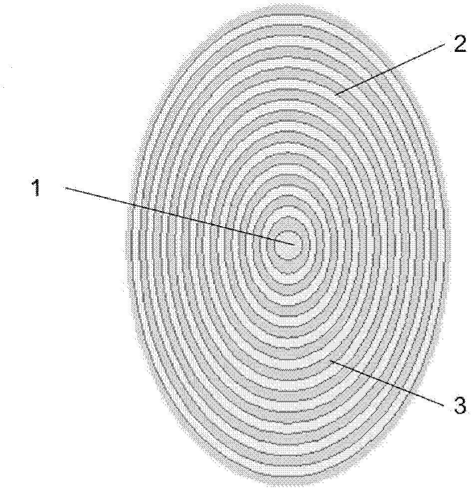 Single crystal fiber with Bragg structure cladding and manufacturing method thereof