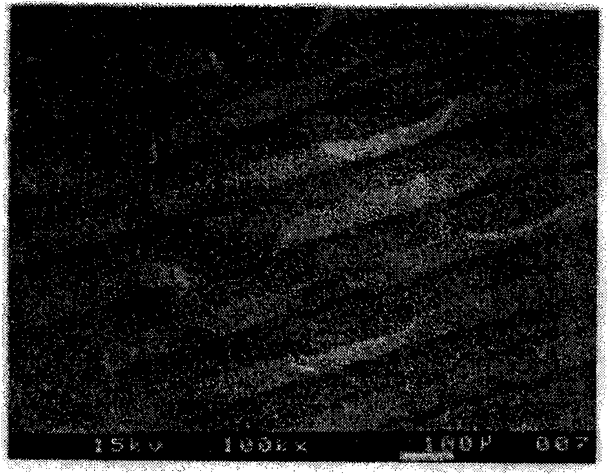 Automatic wet process lamination method of rigid printed circuit boards