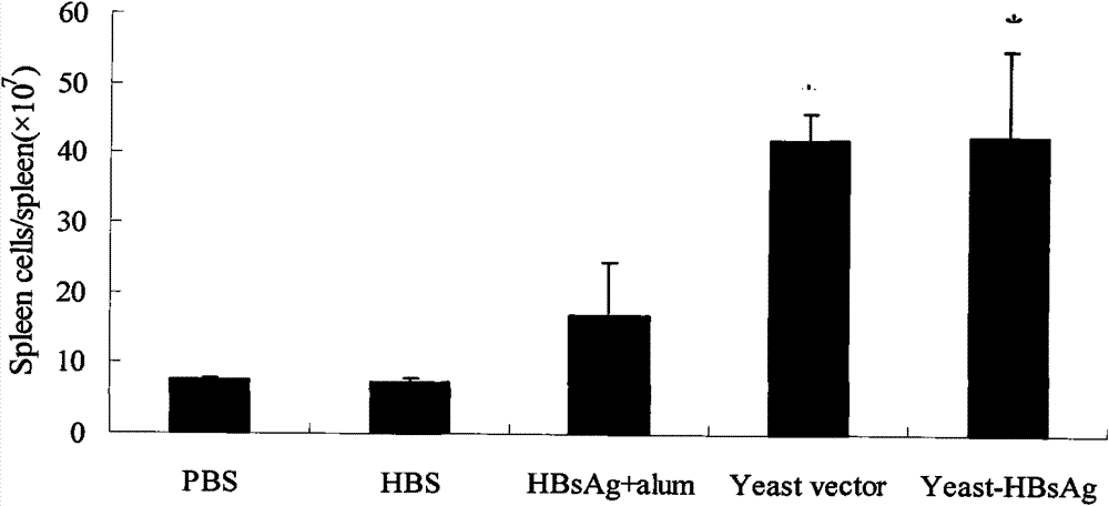 Vaccine for controlling persistent infection of hepatitis B virus