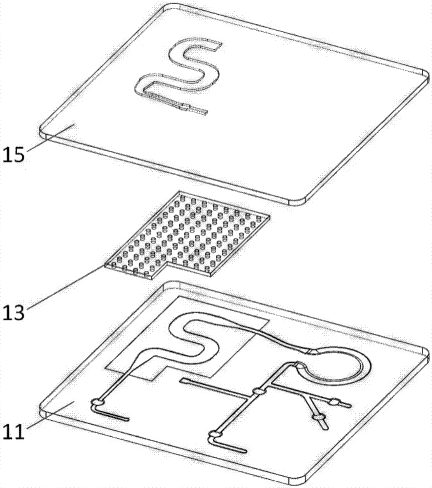 Microfluidic chip, blood cell separation method and system, and manufacturing method of the system