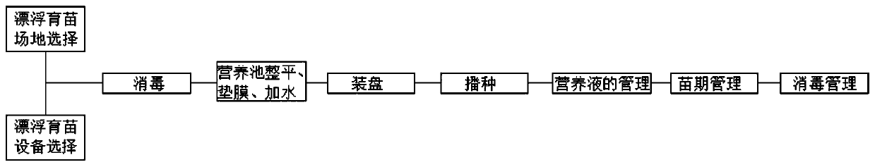 Floating seedling raising method for tobacco planting