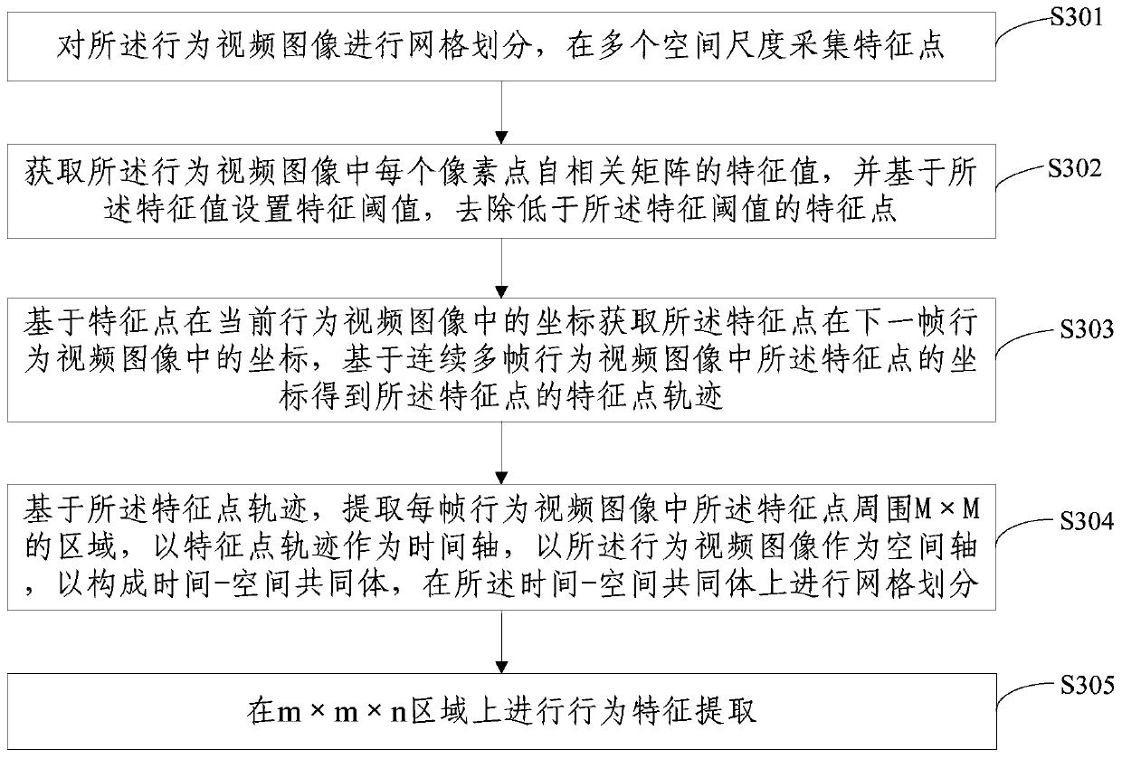 Live pig behavior identification method and device based on video images