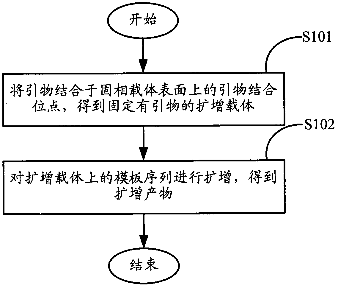 Method for amplifying and sequencing nucleic acid based on solid phase carrier