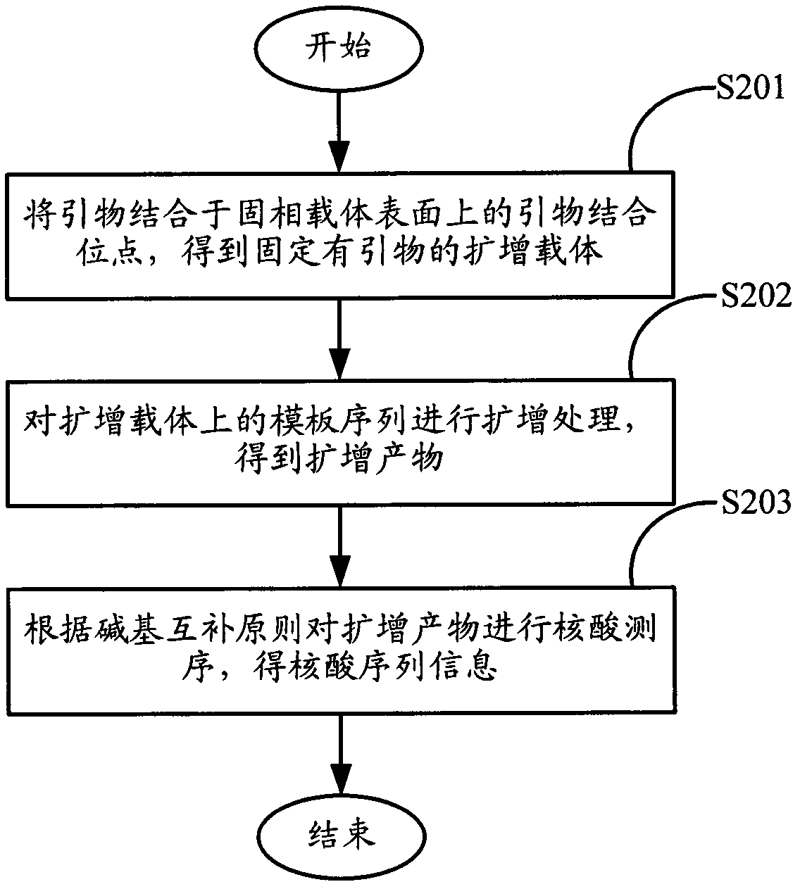 Method for amplifying and sequencing nucleic acid based on solid phase carrier