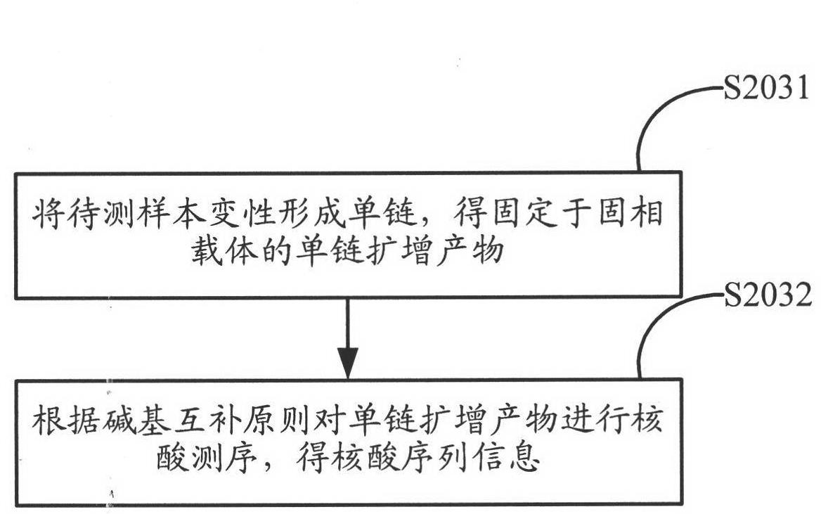 Method for amplifying and sequencing nucleic acid based on solid phase carrier