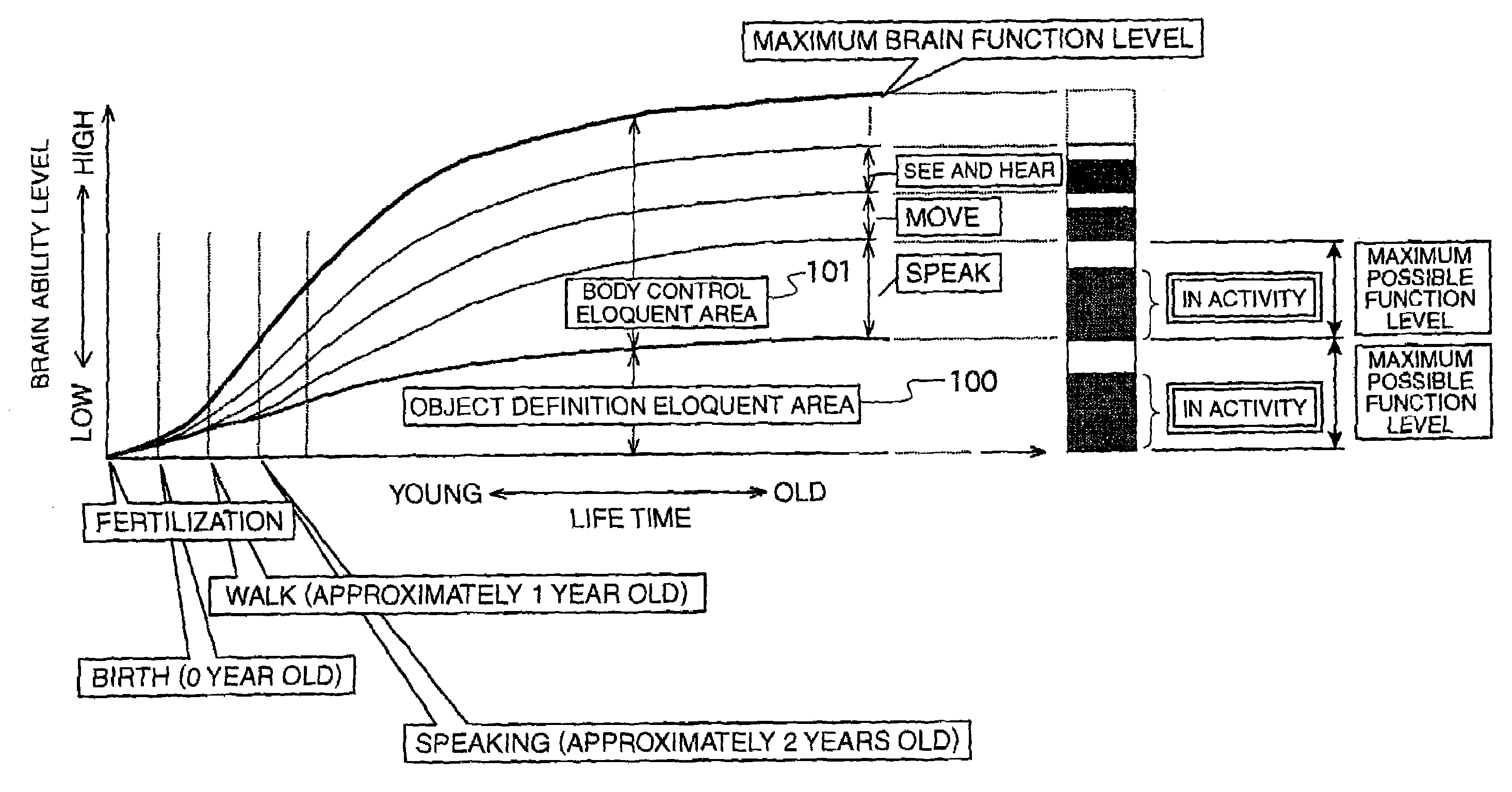 Chaologic brain function diagnosis apparatus