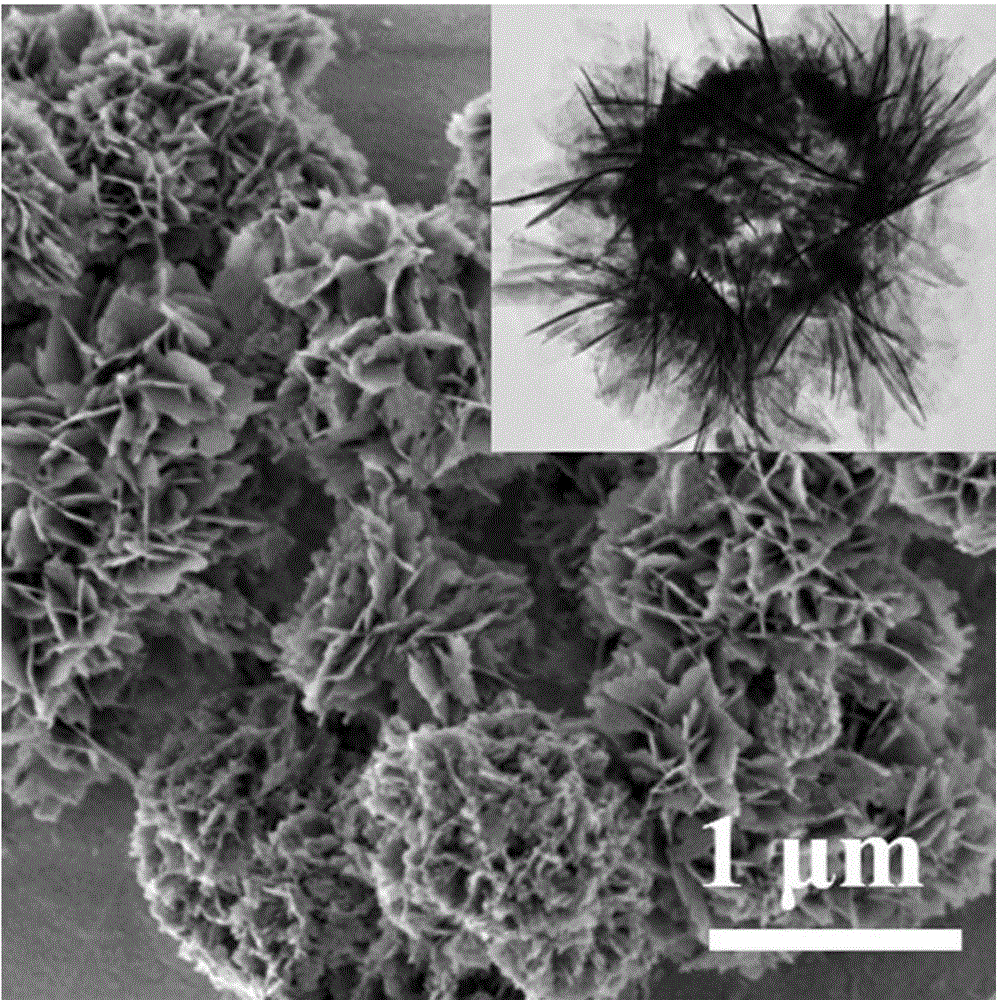 Calcium magnesium phosphate nanometer structure material and preparation method thereof