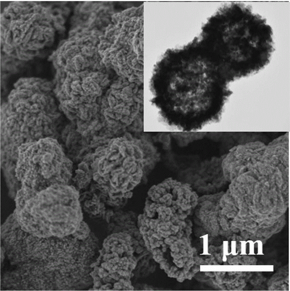 Calcium magnesium phosphate nanometer structure material and preparation method thereof