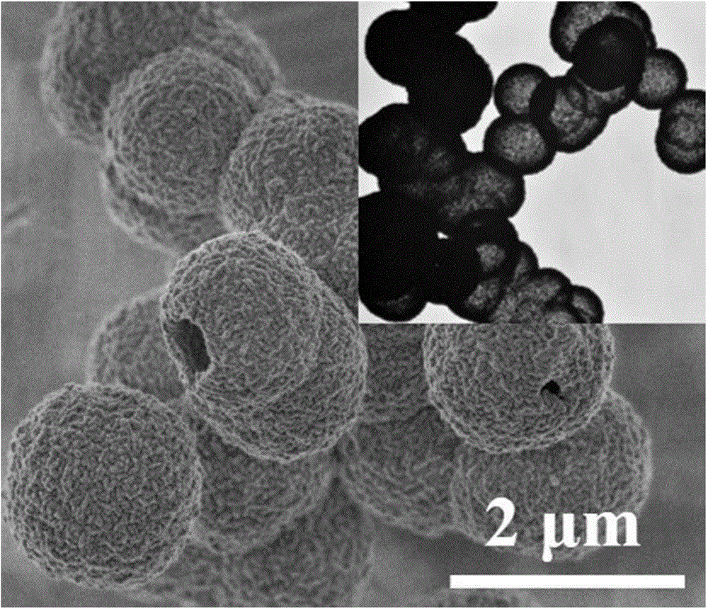 Calcium magnesium phosphate nanometer structure material and preparation method thereof