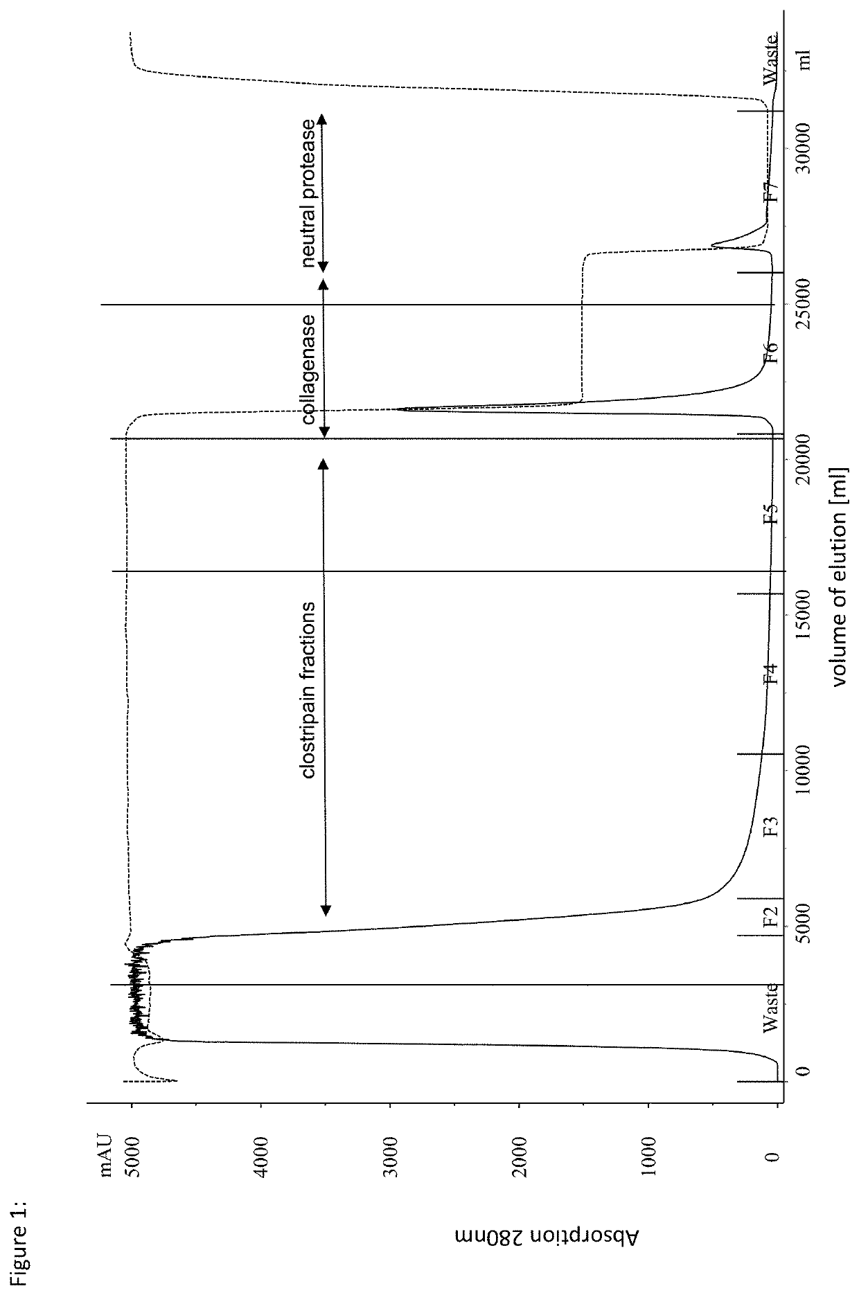 Chromatographic purification of at least one enzyme selected from a group including collagenase type i, collagenase type ii, neutral protease and clostripain