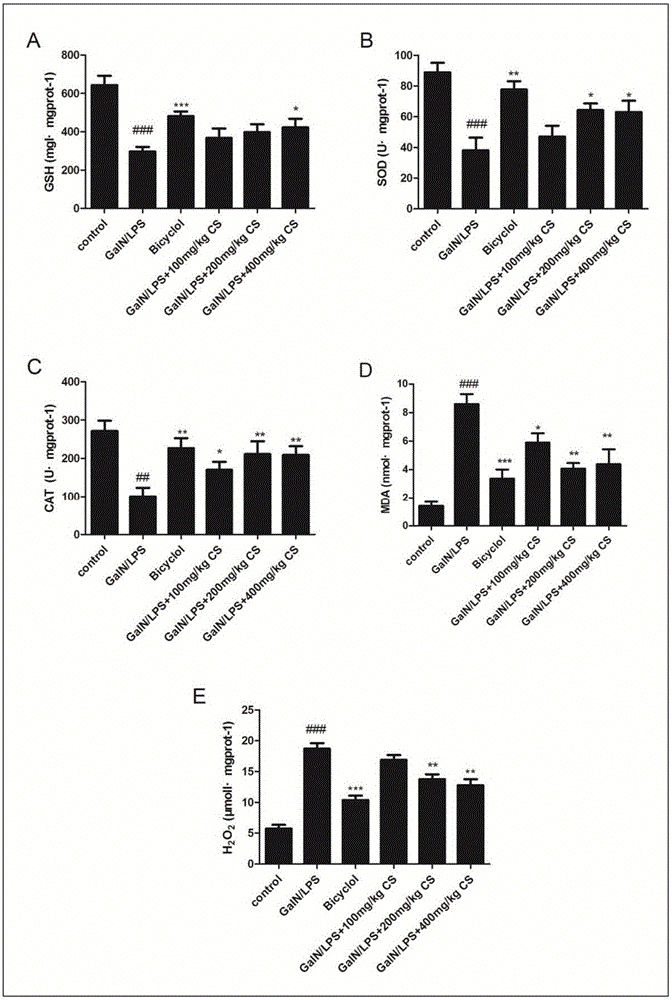 Application of Cordyceps sobolifera water extract in preparation of acute liver injury preventing and treating drug