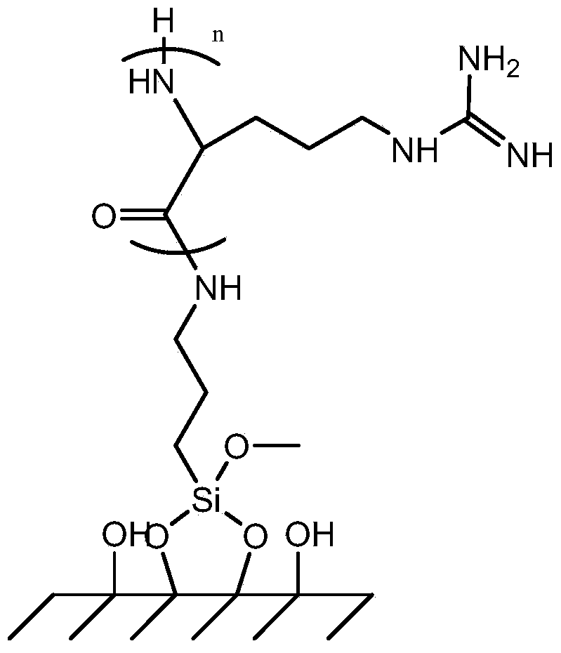 Carbon dioxide adsorbent and preparation method thereof