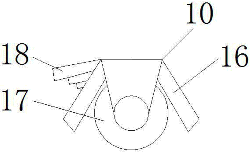 Vegetable washing and dehydrating device