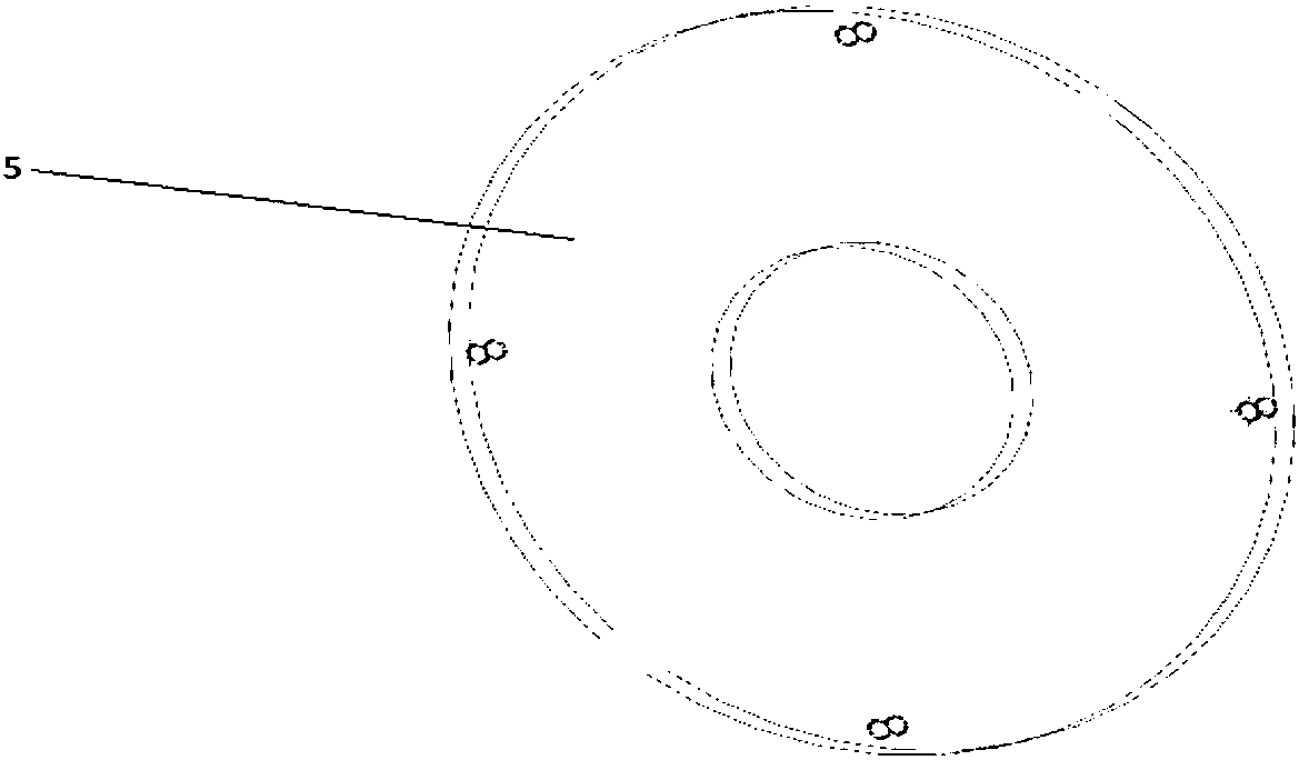 Spiral feeding sifter for oil-tea camellia fruit