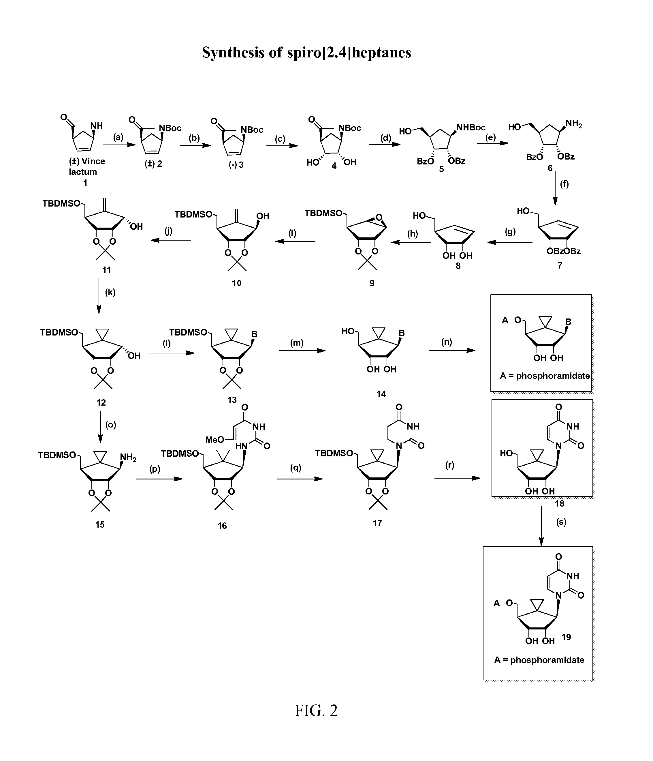 Spiro[2.4]heptanes for Treatment of Flaviviridae Infections