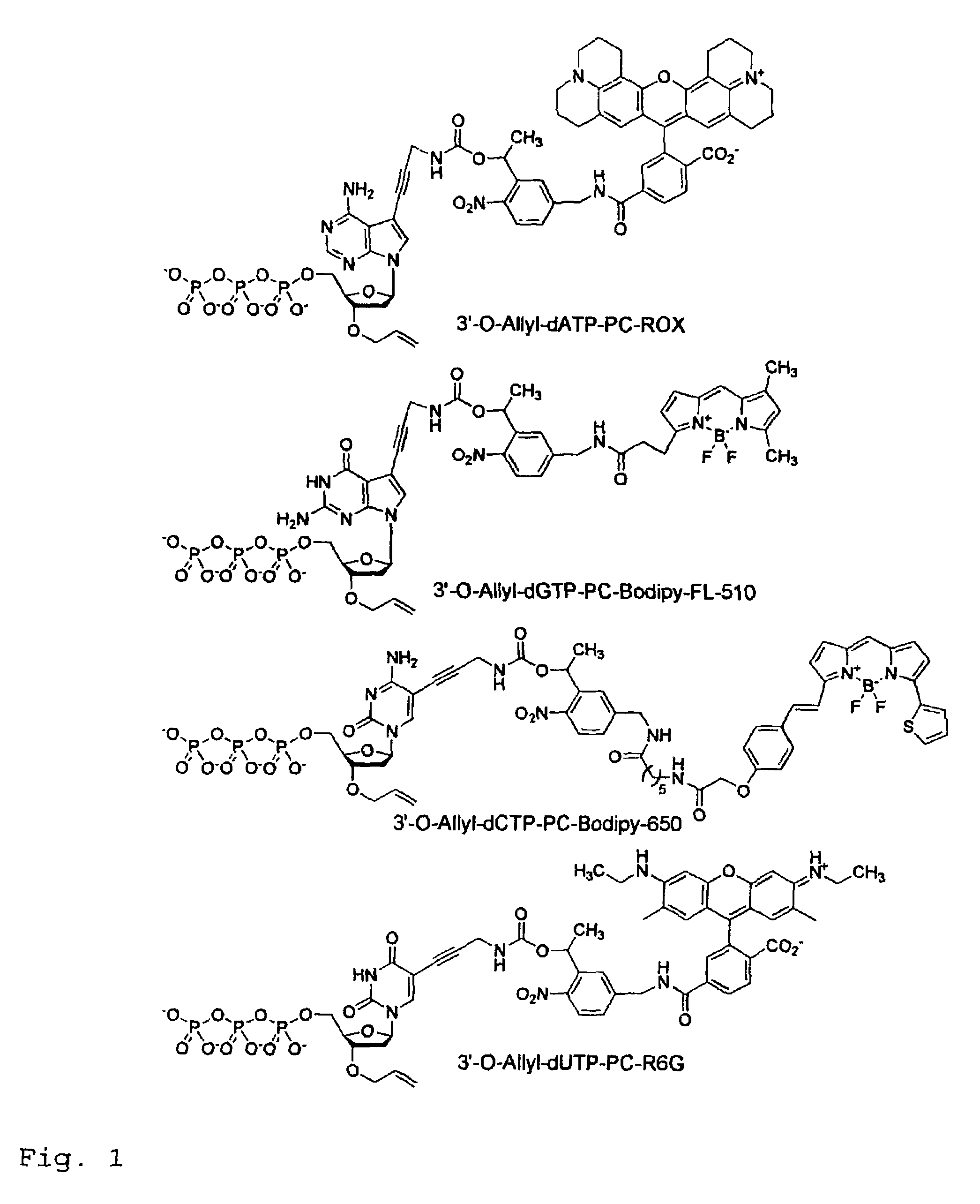 Chemically cleavable 3'-o-allyl-DNTP-allyl-fluorophore fluorescent nucleotide analogues and related methods