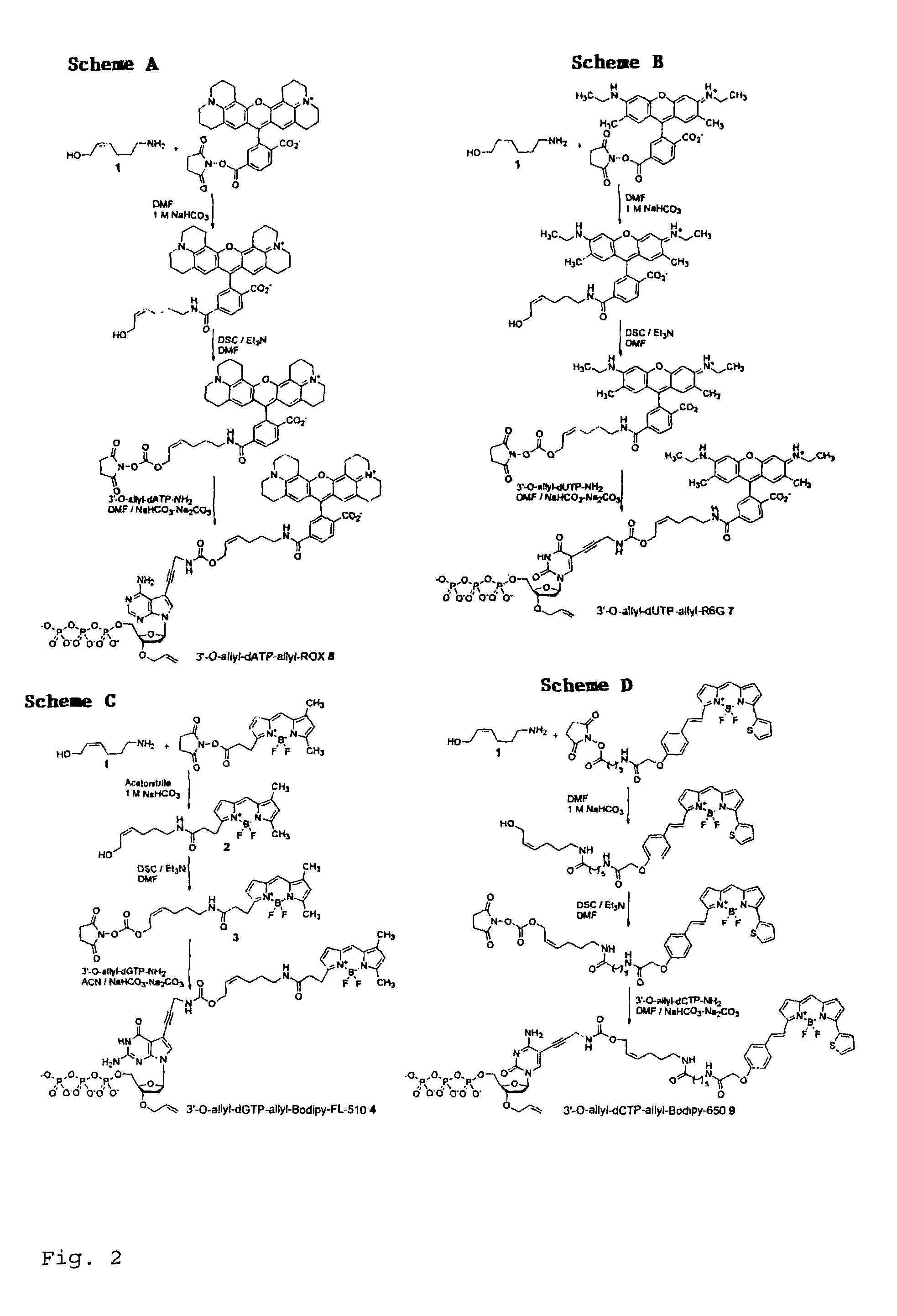 Chemically cleavable 3'-o-allyl-DNTP-allyl-fluorophore fluorescent nucleotide analogues and related methods