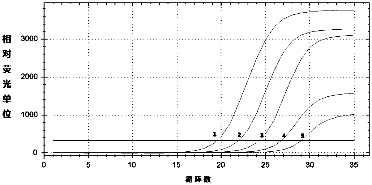 A kit and method for extracting DNA from exfoliated cells in human feces samples