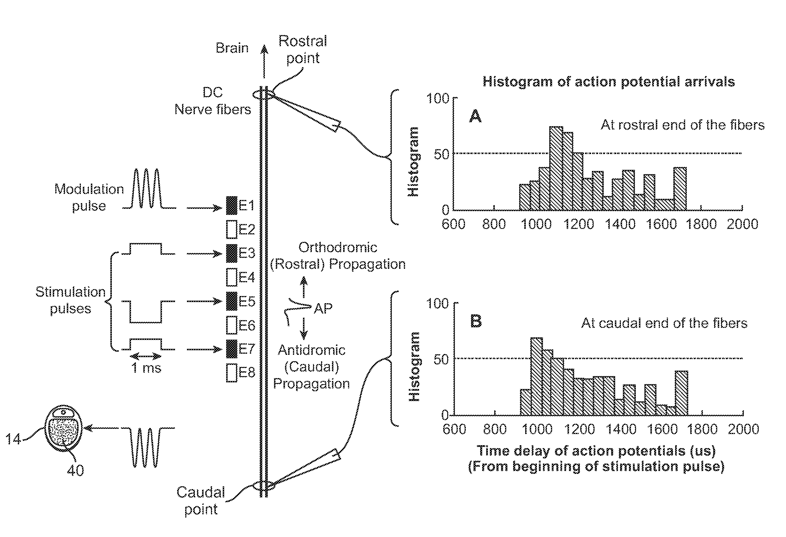 System and method for modulating action potential propagation during spinal cord stimulation