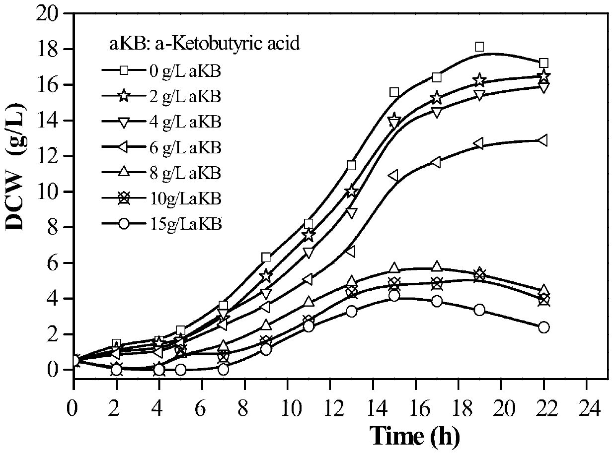 A kind of fermentation production process of α-ketobutyric acid