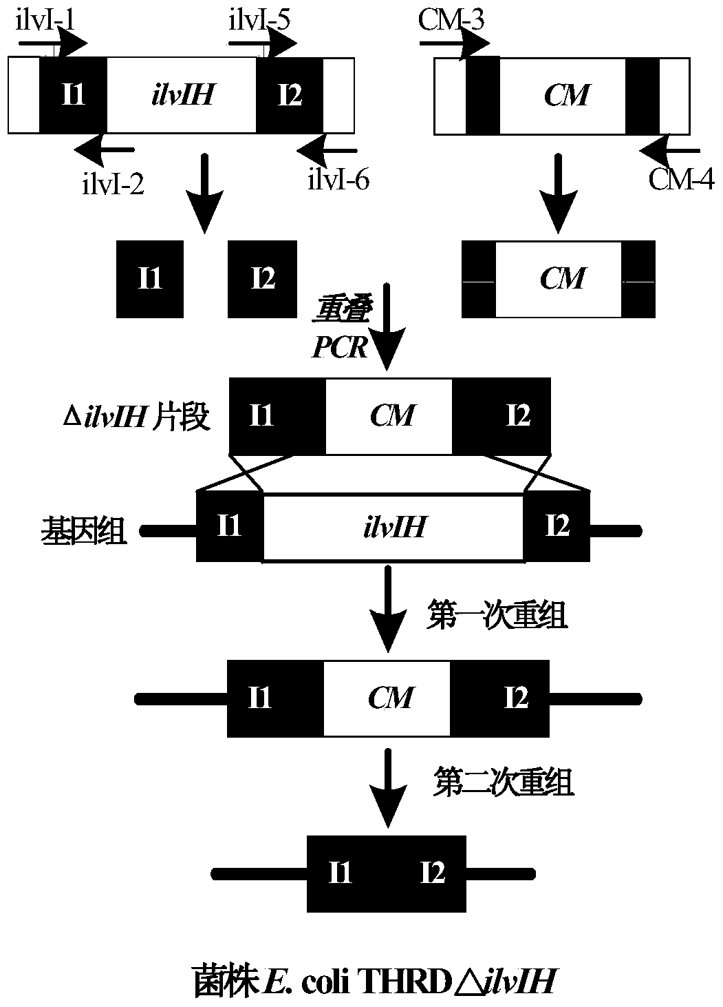 A kind of fermentation production process of α-ketobutyric acid