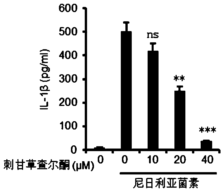 Application of echinatin serving as inhibitor