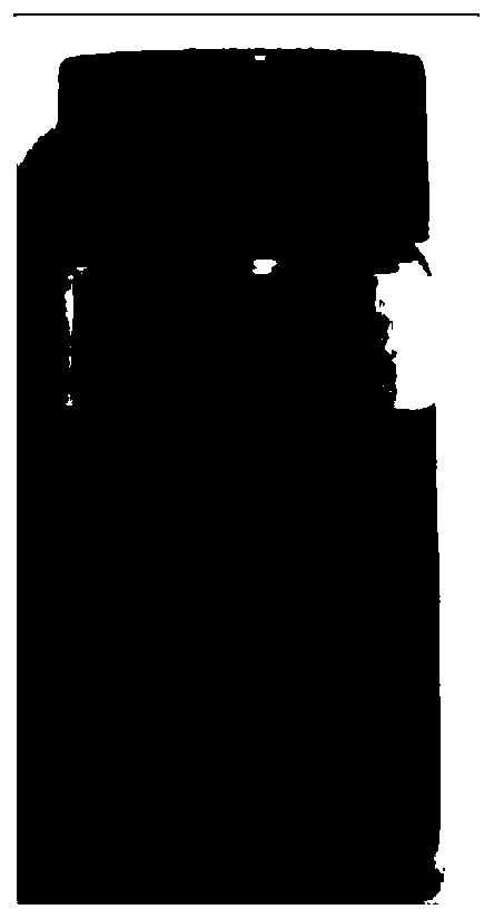 Functionalized diaphragm for lithium-sulfur battery as well as preparation and application of functionalized diaphragm