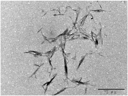 Preparation method of nano-cellulose fiber dry powder