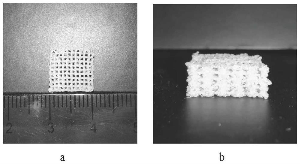 3D printing bone defect repair stent and preparation method thereof