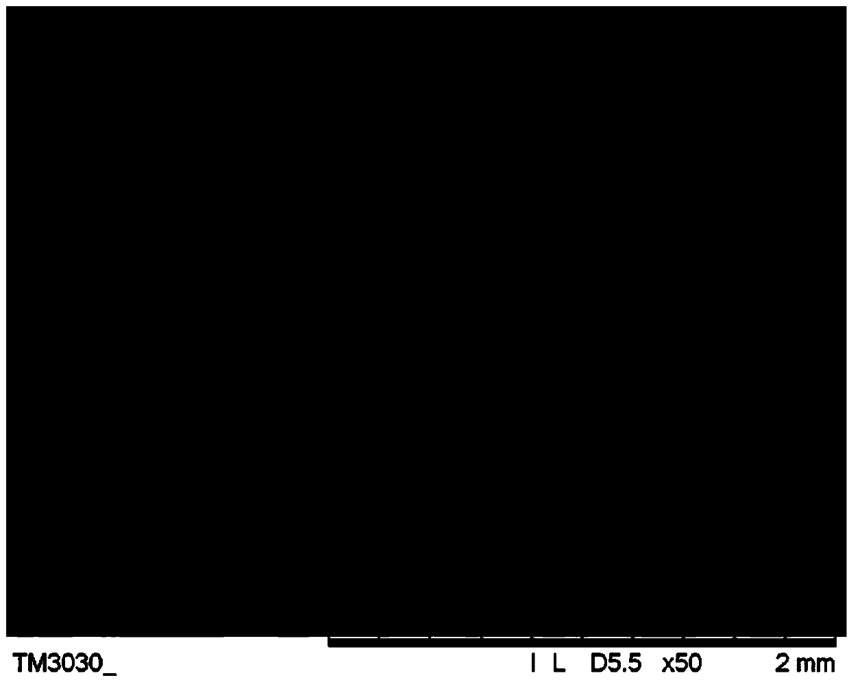 Beta-tricalcium phosphate/alginic acid composite microsphere and preparation method and application of beta-tricalcium phosphate/alginic acid composite microsphere