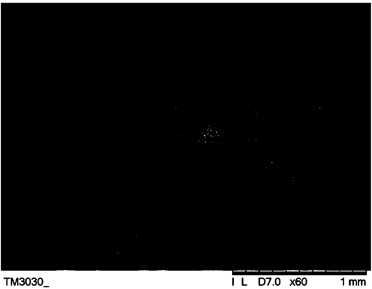 Beta-tricalcium phosphate/alginic acid composite microsphere and preparation method and application of beta-tricalcium phosphate/alginic acid composite microsphere