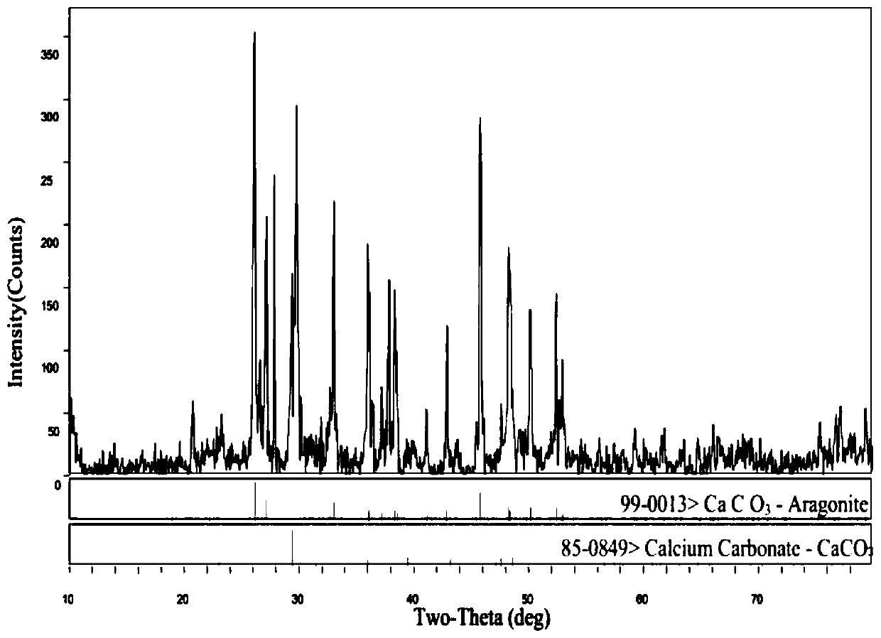 Application of alcaligenes as reinforcing agent to mineralized reinforced calcareous sand technology