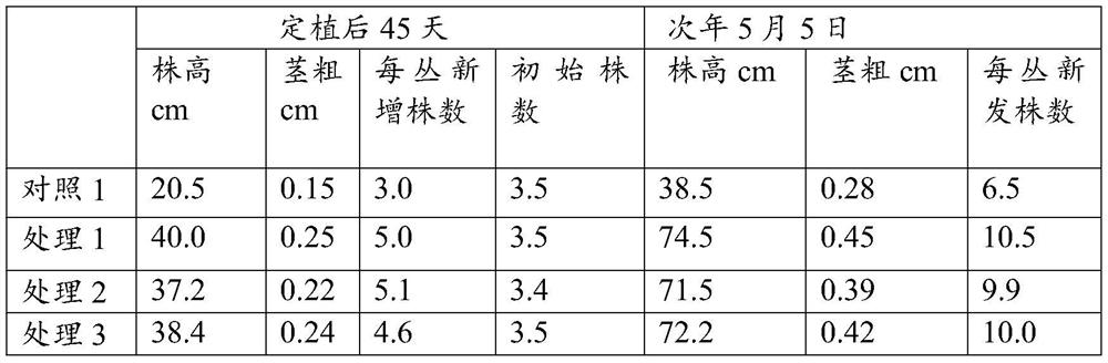 Crop rhizosphere soil conditioner and preparation method and application thereof