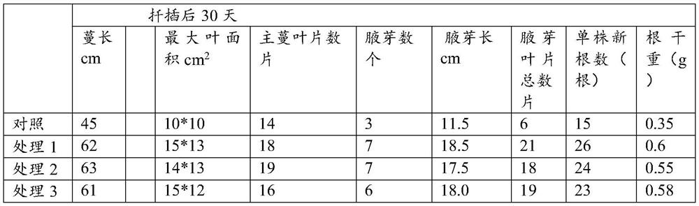 Crop rhizosphere soil conditioner and preparation method and application thereof