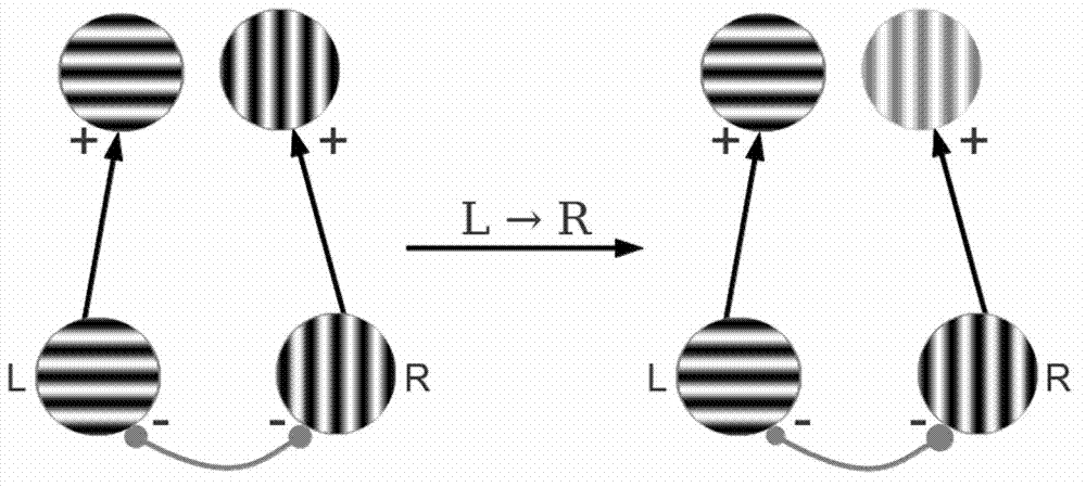 System for treating visual dysfunction by adopting ocular dominance regulation