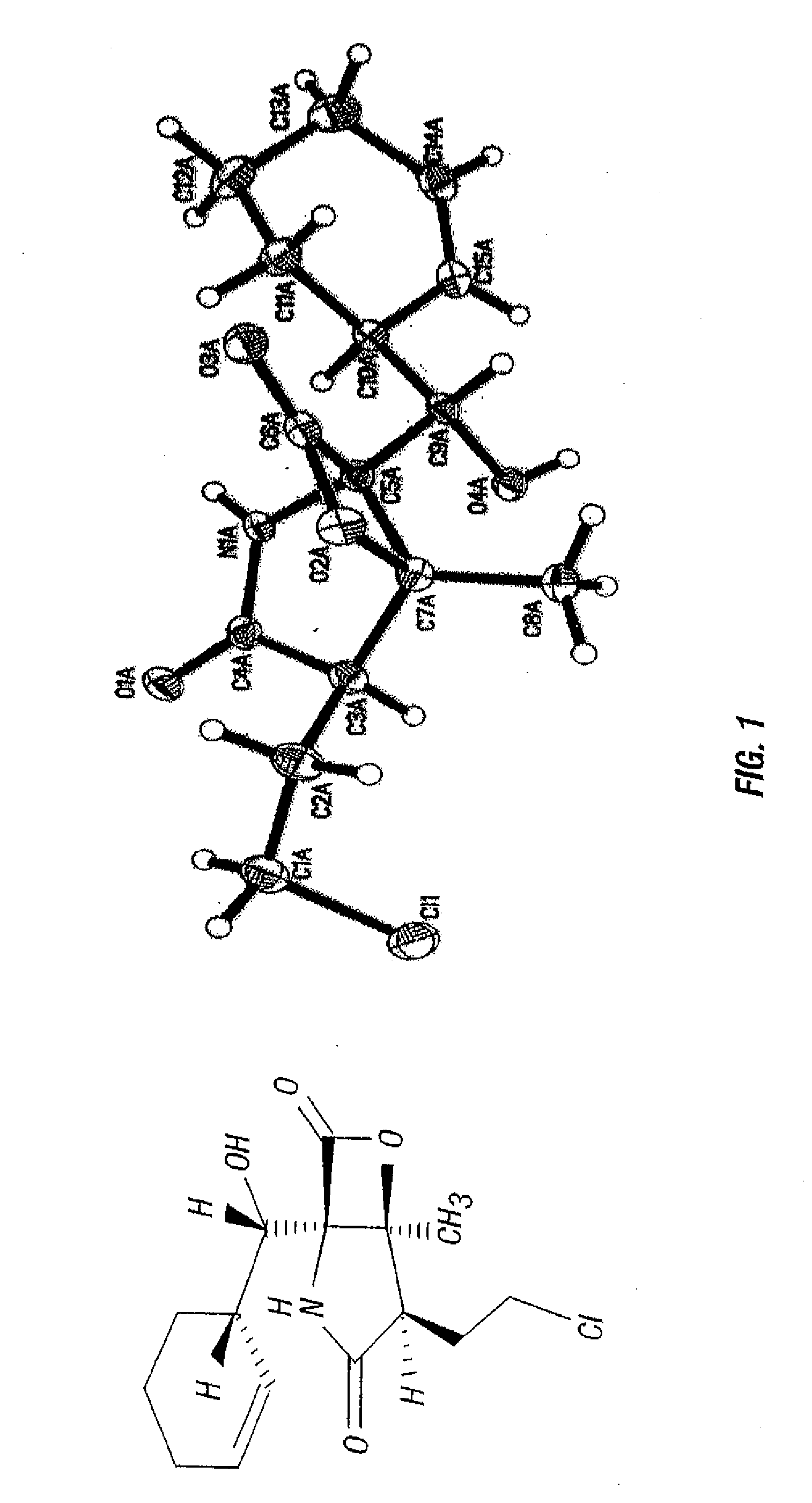 Total synthesis of salinosporamide a and analogs thereof