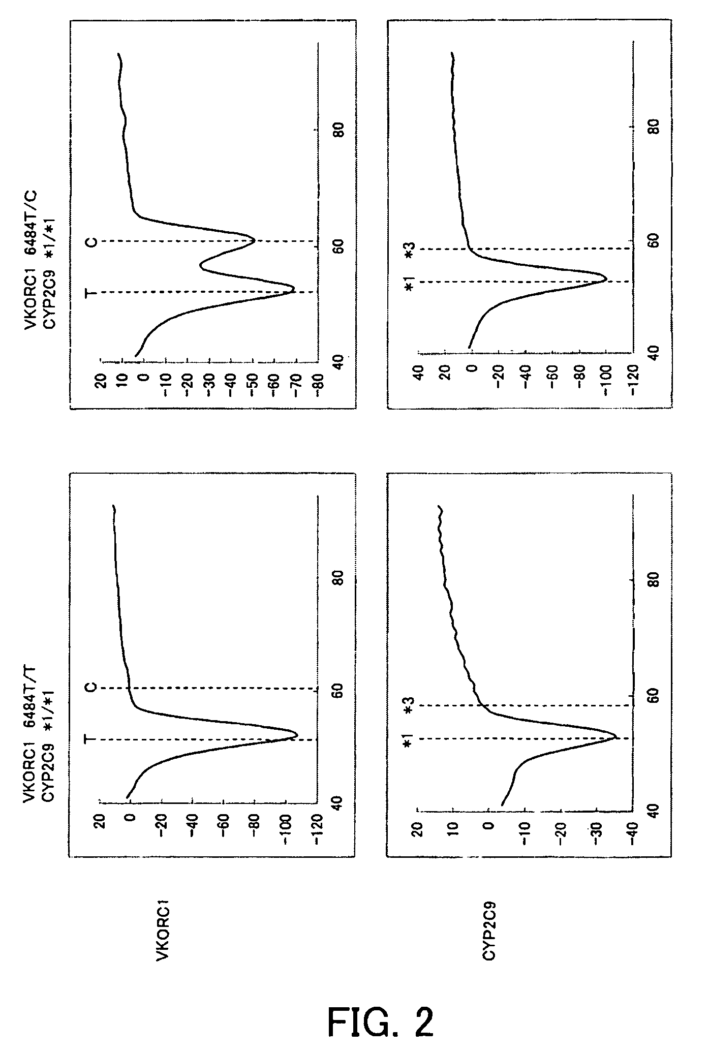 Primer set for gene amplification, reagent for gene amplification including the same, and uses thereof