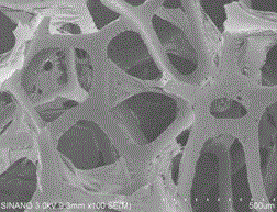 A kind of Corynebacterium beijing microbial adsorbent and preparation method thereof