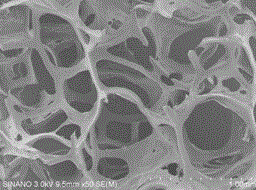 A kind of Corynebacterium beijing microbial adsorbent and preparation method thereof