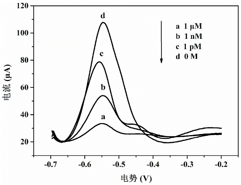 Mercuric ion or cysteine detecting electrochemical DNA biosensor and manufacturing method and application thereof