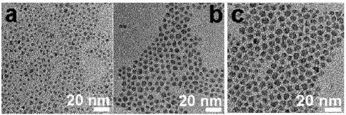 Preparation of composite double-functional perovskite material with joint thermoluminescence and photoluminescence properties