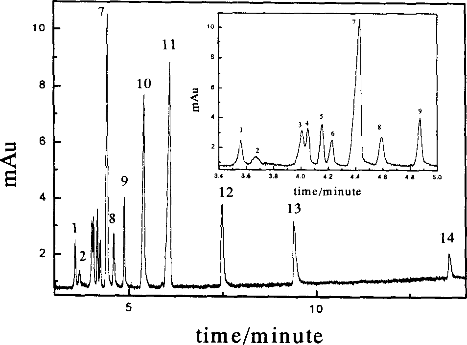 PAABSF column front derivatizing process of amino-acid