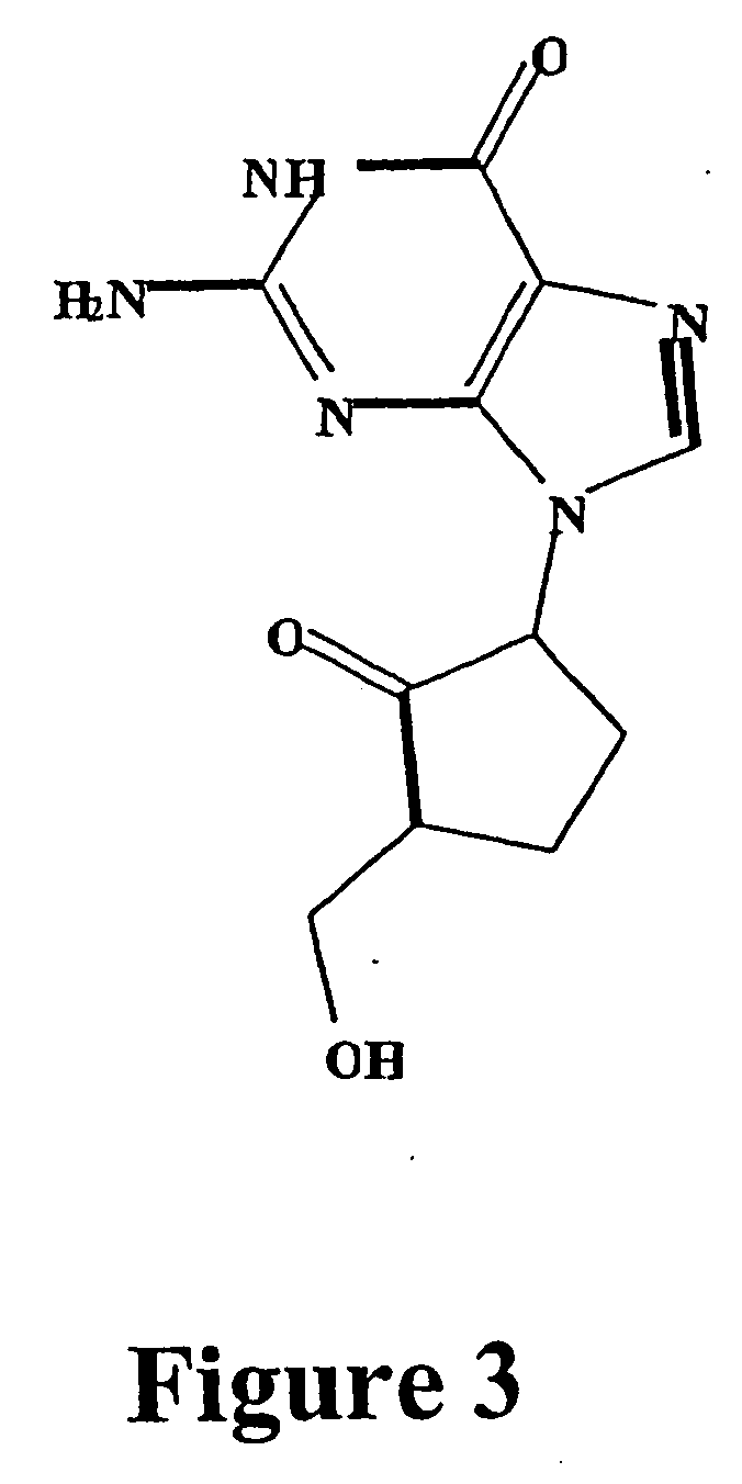 Viral variants with altered susceptibility to nucleoside analogs and uses thereof