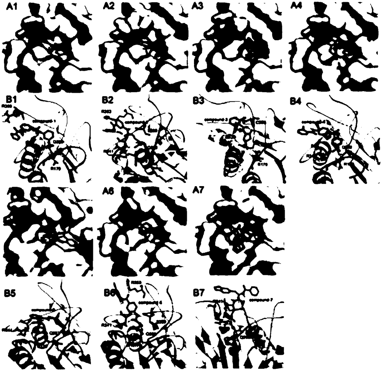 Application of benzamide derivatives in the preparation of caspase-1 inhibitors