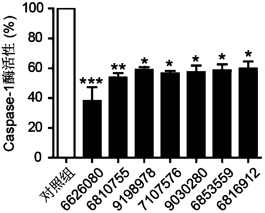 Application of benzamide derivatives in the preparation of caspase-1 inhibitors