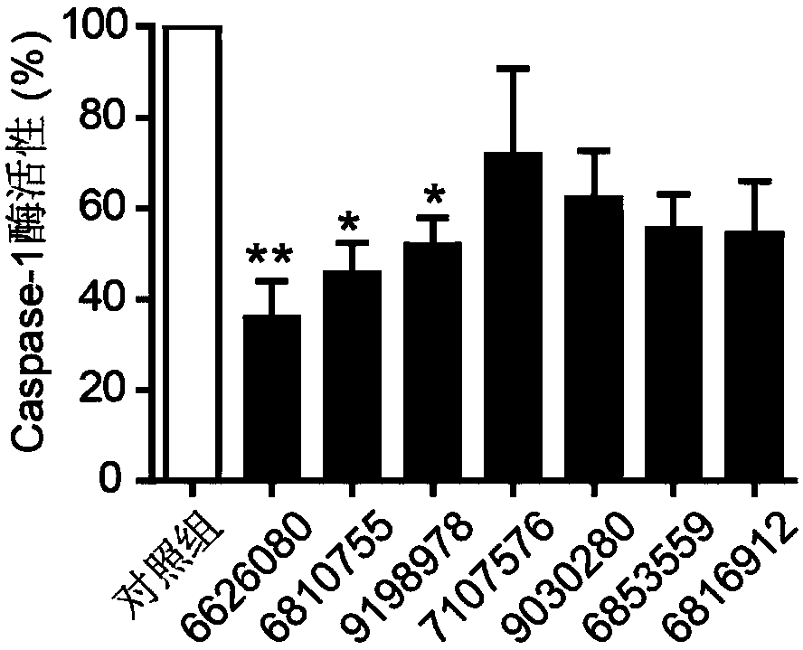 Application of benzamide derivatives in the preparation of caspase-1 inhibitors