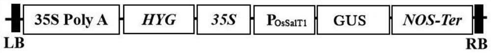 A rice stress-inducible promoter p  <sub>ossalt1</sub> and its application